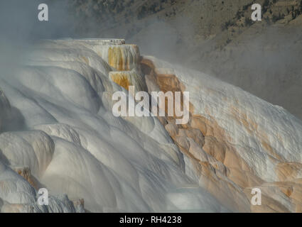 Portion of a steaming white and gold terrace travertine terrace at Mammoth Hot Springs in Yellowstone National Park. Stock Photo