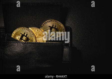 Wallet full of shinning coins of cryptocurrency (golden bitcoins) on black and dark background.  Stack of crypto coins saved in wallet. Stock Photo
