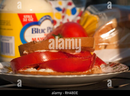 A fresh tomato sandwich, made with Wonder Bread and Blue Plate mayonnaise, makes a poolside snack May 12, 2011 in Columbus, Mississippi. Stock Photo