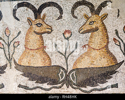 Detail from The Phenix mosaic: Thes two rams heads decorate the border of the larger mosaic originally from Daphine near Atioch in Turkey. Stock Photo