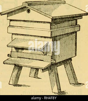 . British bee journal &amp; bee-keepers adviser. Bees. May 24, 1888.] THE BRITISH BEE JOURNAL. 267 Hutchinos, A. F., St. Mary Cray, Kent. Meal-ham, M., Huntington, Hereford. Meadows, W. P., Syston, Leicester. Neighbour &amp; Sons, 149 Begent St. &amp; 127 High Holborn. Stothaed, G., Welwyn, Herts. Walton, E. C., 82 Emmanuel Street, Preston. Webster, W. B., Binfield, Berks. Woodley, A. D., 26 Donnington Boad, Beading. When &amp; Son, 139 High Street, Lowestoft. HONEY MERCHANTS. Abbott Bros., Southall, and Merchants' Quay, Dublin. Baker, W. B., Muskham, Newark. Baldwin, S. J., Bromley, Kent. Bri Stock Photo