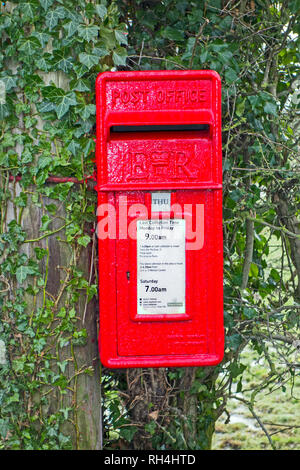 Red Royal mail post office post box on an ivy covered post in the rural English countryside Stock Photo