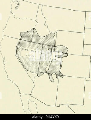 . Brigham Young University science bulletin. Biology -- Periodicals. BRIGHAM YOUNG UNIVERSITY SCIENCE BULLETIN. Map 1. Location of Great Basin Desert. grasses are abundant in the subtypes of this commun- ity. Scattered stands of Douglas-fir, white fir, bristle- cone pine, ponderosa pine and aspen occur at higher elevations in the mountains. In this setting was impressed the grazing of live- stock and the attendant road building, fence con- struction, water development, and other activities which were to result in long-lasting changes in vegeta- tion, scars on the landscape, soil erosion, and c
