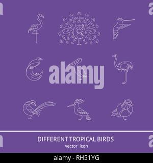 Birds are different species. Linear icon set. Can be used for logo, print, web site Stock Vector
