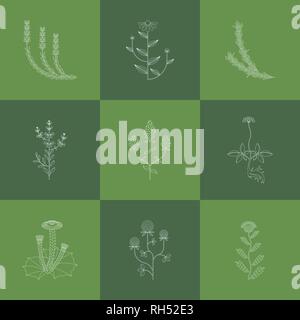 Medicinal herbs, contour icons isolated on green background Stock Vector
