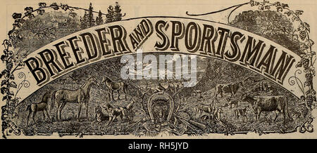 . Breeder and sportsman. Horses. VOLUME LVIII. No. 12. SAN FRANCISCO, SATURDAY. MARCH 25, 1911. Subscription—J3.00 Per Year.. Please note that these images are extracted from scanned page images that may have been digitally enhanced for readability - coloration and appearance of these illustrations may not perfectly resemble the original work.. San Francisco, Calif. : [s. n. ] Stock Photo