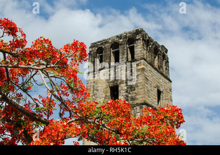 Panama Viejo Stock Photo