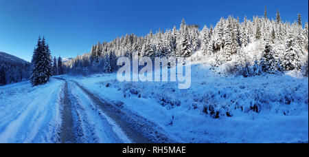 Beautiful winter landscape. Winter road in the mountains between snowy green firs. Stock Photo