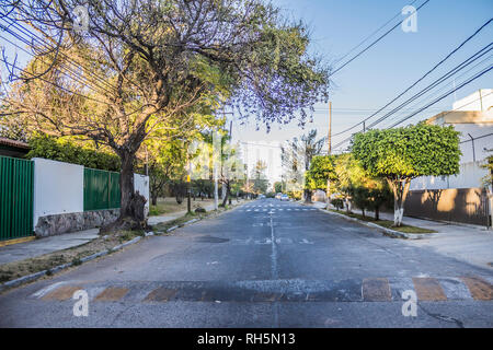 Asphalt street with sidewalks, trees and electric cables on a sunny day in Guadalajara Jalisco Mexico Stock Photo