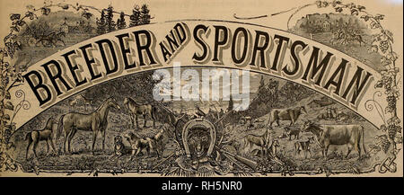 . Breeder and sportsman. Horses. VOL. XL No. 5. 36 GEARY STREET. SAN FRANCISCO, SATURDAY, FEBRUARY I, 1902. SUBSCRIPTION THREE DOLLARS A YEAR. Please note that these images are extracted from scanned page images that may have been digitally enhanced for readability - coloration and appearance of these illustrations may not perfectly resemble the original work.. San Francisco, Calif. : [s. n. ] Stock Photo