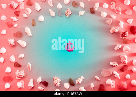 Different sea shells on live coral background. Top view flat lay Stock Photo