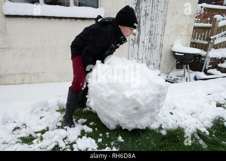 Reading, UK. 1st Feb 2019. UK Weather: Young boys play in the snow in a back garden in Reading and make a snowman. Three inches of snow fell overnight and school is cancelled for the day. Matthew Ashmore/Alamy Live News Stock Photo