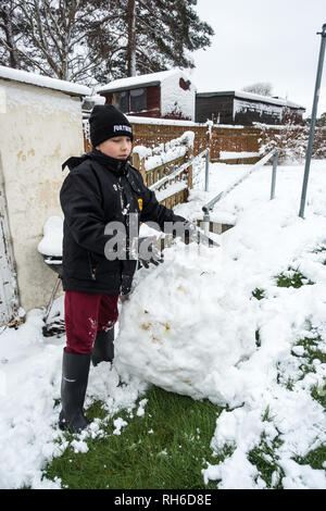 Reading, UK. 1st Feb 2019. UK Weather: Young boys play in the snow in a back garden in Reading and make a snowman. Three inches of snow fell overnight and school is cancelled for the day. Matthew Ashmore/Alamy Live News Stock Photo