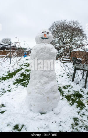 Reading, UK. 1st Feb 2019. UK Weather: Young boys play in the snow in a back garden in Reading and make a snowman. Three inches of snow fell overnight and school is cancelled for the day. Matthew Ashmore/Alamy Live News Stock Photo