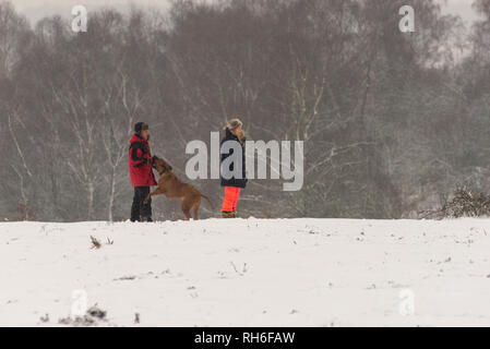 Couple with dog in snow. Bramble Hill, Bramshaw, Lyndhurst, New Forest, Hampshire, UK, 1st February 2019, Weather: Dog walkers enjoying being out in the cold after heavy snow in the south of England national park. Stock Photo