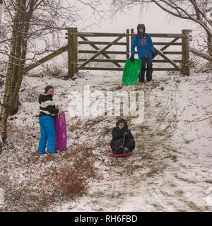 Children sledging while school is closed after heavy snow in February in the south of England national park at Bramble Hill, Bramshaw, Lyndhurst, New Forest, Hampshire, UK. Stock Photo