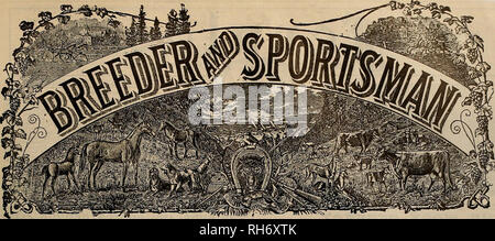 . Breeder and sportsman. Horses. VOLUME LVIII. No. 18. SAN FRANCISCO, SATURDAY, MAY 6, 1911. Subscription—$3.00 Per Year.. Please note that these images are extracted from scanned page images that may have been digitally enhanced for readability - coloration and appearance of these illustrations may not perfectly resemble the original work.. San Francisco, Calif. : [s. n. ] Stock Photo