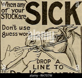 . Breeder and sportsman. Horses. °» *Zi *- * TTT From a Hopeless Cripple to a Continuous Winner R. M. HYDE HARRY WAY ALMA FLOUR S FEED CO. Live Stock Insurance Alma, Mich., Sept 23, 1913. Trov Chemical Co., Binghamton, N. T.: Gentlemen:—I 'want to express my regard for Save-the-Horse for tendon trouble. I purchased a fast pacer that had been line fired unreasonably and his tendons were so large that a pair of medium tendon boots would not begin to reach around. He was full from the knee to ankle in each leg. As I wrote you, I began using it with great care, just as you directed. In thirty days Stock Photo