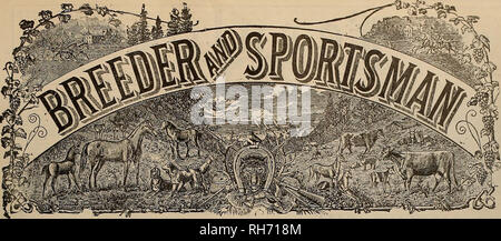 . Breeder and sportsman. Horses. VOLUME LVIII. No. 13. SAN FRANCISCO. SATURDAY, APRIL 1, 1911. Subscription—$3.00 Per Year.. Please note that these images are extracted from scanned page images that may have been digitally enhanced for readability - coloration and appearance of these illustrations may not perfectly resemble the original work.. San Francisco, Calif. : [s. n. ] Stock Photo