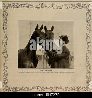 . Breeder and sportsman. Horses. VOLUME LVIII. No. 11. SAN FRANCISCO, SATURDAY, MARCH IS, 1911. Subscription—$3.00 Per Year.. Please note that these images are extracted from scanned page images that may have been digitally enhanced for readability - coloration and appearance of these illustrations may not perfectly resemble the original work.. San Francisco, Calif. : [s. n. ] Stock Photo