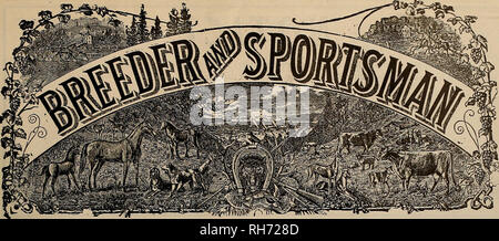 . Breeder and sportsman. Horses. VOLUME LVIII. No. 11. SAN FRANCISCO, SATURDAY, MARCH IS, 1911. Subscription—$3.00 Per Year.. Please note that these images are extracted from scanned page images that may have been digitally enhanced for readability - coloration and appearance of these illustrations may not perfectly resemble the original work.. San Francisco, Calif. : [s. n. ] Stock Photo