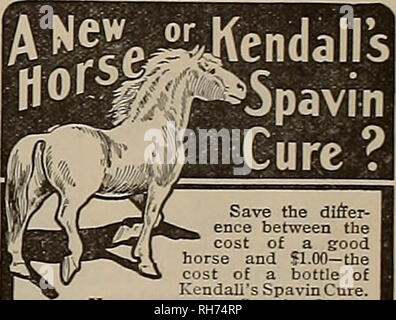 . Breeder and sportsman. Horses. GOMBAILT'S CAUSTIC BALSAM A safe, speedy and positive cure for Curb, Splint, Sweeny, Capped Hock, Strained Tendons, Founder, Wind Puffs, and all lameness from Spavin, Ringbone and other bony tumors. Cures all skin diseases or Parasites, Thrush, Diphtheria. Removes all Bunches from Horses or Cattle. As a HUMAN REMEDY for Bhcn- malIsm, Sprains, Sore Throat, eta., it is invaluable. Every bottle of Canntlc Balaam sold Is Warranted to give satisfaction. Price SI.SO per bottle. Sold by drupirists, or sent by ex- press, charges paid, with full directions for its use.  Stock Photo