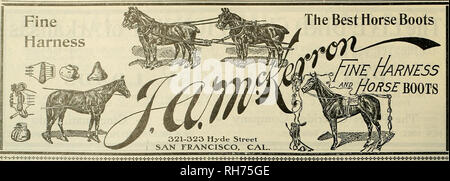 . Breeder and sportsman. Horses. THE UREEDER AND SPORTSMAN [Saturday, December 8, 1906.. THE REMINGTON AUTOLOADING SHOT GUN. Please note that these images are extracted from scanned page images that may have been digitally enhanced for readability - coloration and appearance of these illustrations may not perfectly resemble the original work.. San Francisco, Calif. : [s. n. ] Stock Photo