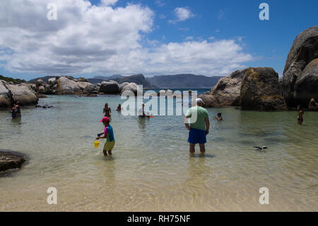 CAPETOWN, SOUTH AFRICA - JANUARY 9, 2019: People swimming with penguins at Boulders Beach in Simon's Town, South Africa. Stock Photo