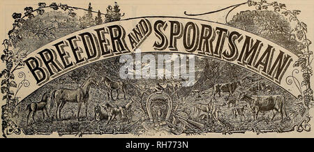 . Breeder and sportsman. Horses. VOLUME LVIII. No. 2. SAN FRANCISCO, SATURDAY, JANUARY 14, 1911. Subscription—$3.00 Per Year.. Please note that these images are extracted from scanned page images that may have been digitally enhanced for readability - coloration and appearance of these illustrations may not perfectly resemble the original work.. San Francisco, Calif. : [s. n. ] Stock Photo