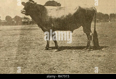 . Breeder and sportsman. Horses. 14 ®he gveebcv mtfr ^pcvisman [February 14, 1903 Urged to Use Coloring Matter. The following official circular, headed ' Important Notice to Butter Producers,&quot; has been issued by the State Dairy Bureau of California: Bee of the State P.tiry Bureau, 114 ruin street. San Francisco, January The new oleomargarine law enacted by Congress, which went into effect on July 1, 1902, imposes a tax of 10 a pound on all oleomargarine in which artificial coloring matter has been use.l to produce in it the yellow shade of butter. On oleomargarine in which no such c &gt;l Stock Photo