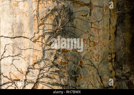 Old textured stone wall with dry branches on it. Grunge background Stock Photo
