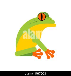 Tree frog isolated. Tropical amphibian vector illustration Stock Vector