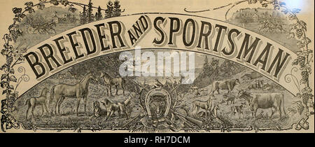 . Breeder and sportsman. Horses. ( ''. vol. XXXVII. No. IS. NO. 36 GEARY STREET. SAN FRANCISCO, SATURDAY, SEPTEMBER 29,1900. SUBSCRIPTION THREE DOLLARS A YEAR. Please note that these images are extracted from scanned page images that may have been digitally enhanced for readability - coloration and appearance of these illustrations may not perfectly resemble the original work.. San Francisco, Calif. : [s. n. ] Stock Photo