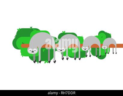 Sloth family. lazybones animal Cartoon. Vector illustration Stock Vector