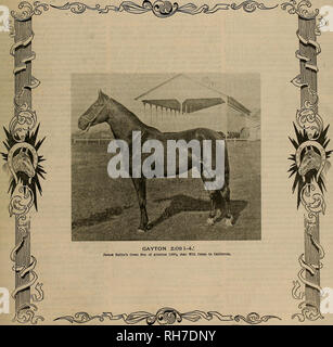 . Breeder and sportsman. Horses. Vol. XXXVII. No. 12. No. 36 GEARY STREET. SAN FRANCISCO, SATURDAY, SEPTEMBER 22,1900. SUBSCRIPTION THREE DOLLARS A YEAB. Please note that these images are extracted from scanned page images that may have been digitally enhanced for readability - coloration and appearance of these illustrations may not perfectly resemble the original work.. San Francisco, Calif. : [s. n. ] Stock Photo
