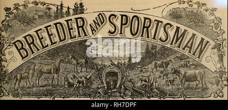 . Breeder and sportsman. Horses. Vol. XXXVII. No. 12. No. 36 GEARY STREET. SAN FRANCISCO, SATURDAY, SEPTEMBER 22,1900. SUBSCRIPTION THREE DOLLARS A YEAB. Please note that these images are extracted from scanned page images that may have been digitally enhanced for readability - coloration and appearance of these illustrations may not perfectly resemble the original work.. San Francisco, Calif. : [s. n. ] Stock Photo