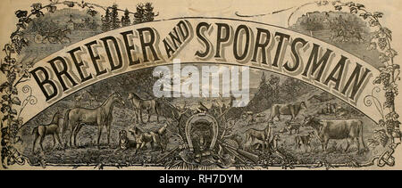 . Breeder and sportsman. Horses. VOL. XL No. 8. 36 GEAKY STREET. SAN FRANCISCO, SATURDAY, FEBRUARY 22, 1902. SUBSCRIPTION THREE DOLLARS A YEAB. Please note that these images are extracted from scanned page images that may have been digitally enhanced for readability - coloration and appearance of these illustrations may not perfectly resemble the original work.. San Francisco, Calif. : [s. n. ] Stock Photo