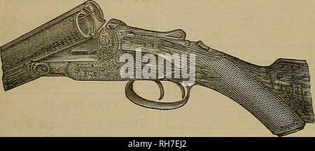 マメ コレクション 10D コレクション 10D コレクション 10D ロックマン ゼロ