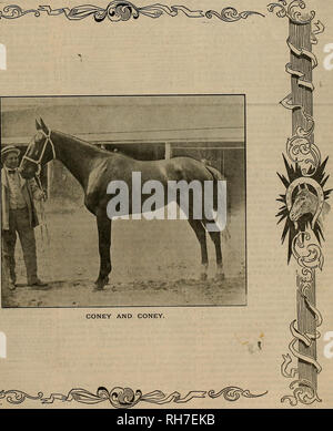 . Breeder and sportsman. Horses. Vol. XXXVII. No. 10. No. 36 GEARY STREET. SAN FRANCISCO, SATURDAY, SEPTEMBER 8,1900. SUB8CRIPTIOH THREE DOLLARS A YEAR &lt;^ Â»^S^ &quot;â. &gt;*4q&amp;-%. Please note that these images are extracted from scanned page images that may have been digitally enhanced for readability - coloration and appearance of these illustrations may not perfectly resemble the original work.. San Francisco, Calif. : [s. n. ] Stock Photo