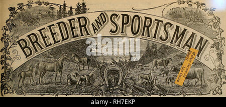 . Breeder and sportsman. Horses. &lt;^^Wt^. Vol. XXXVII. No. 10. No. 36 GEARY STREET. SAN FRANCISCO, SATURDAY, SEPTEMBER 8,1900. SUB8CRIPTIOH THREE DOLLARS A YEAR &lt;^ Â»^S^ &quot;â. Please note that these images are extracted from scanned page images that may have been digitally enhanced for readability - coloration and appearance of these illustrations may not perfectly resemble the original work.. San Francisco, Calif. : [s. n. ] Stock Photo