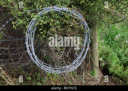 A roll of barbed wire Stock Photo