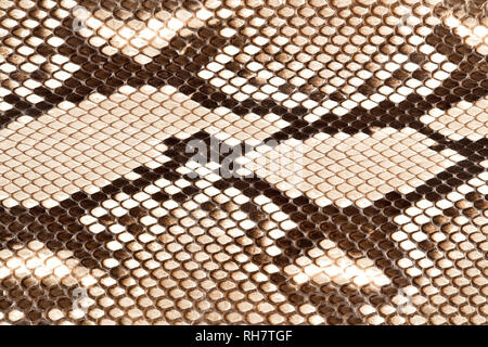 Snake skin background Stock Photo