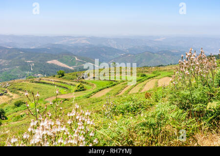 Beautiful landscape of terraced slopes in Sierra da Monchique, Algarve, Portugal Stock Photo