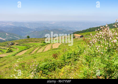 Beautiful landscape of terraced slopes in Sierra da Monchique, Algarve, Portugal Stock Photo