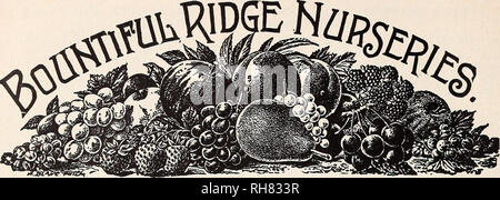 . Bountiful Ridge Nurseries : your 1941 guide to better fruits and more beautiful homes. Nurseries (Horticulture) Catalogs; Fruit Catalogs; Fruit trees Catalogs; Trees Catalogs; Asparagus Catalogs. Plant Our Improved Strains Of All Varieties For Greater Success We Present &quot;THE FRUIT WORLD&quot; of. His Majesty &quot;The Apple&quot;. Please note that these images are extracted from scanned page images that may have been digitally enhanced for readability - coloration and appearance of these illustrations may not perfectly resemble the original work.. Bountiful Ridge Nurseries; Henry G. Gil Stock Photo