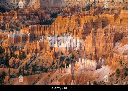 view into Bryce Canyon National Park, Utah Stock Photo