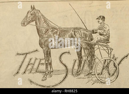 . Breeder and sportsman. Horses. 34 ©ij* $reetair mtb *fowct*mmu [July 16, 1898. Racing at Hanford. After considerable effort on the part of those interested in horse flesh and racing, the Hanford Baring Association was formed a few weeks ago and the first meeting, which held for two days, closed July 5lh, after a most successful session. The races on the Fourth were very largely attended and were Tery good indeed. There were two running races and two harness events. In the quarter mile and repeat, Chris Evans was the winner, running both beats in 25 seconds. Birdy won the three-quarter dash,  Stock Photo