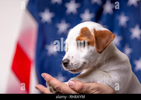 80+ Cute Kids For Indian Independence Day Stock Photos, Pictures &  Royalty-Free Images - iStock