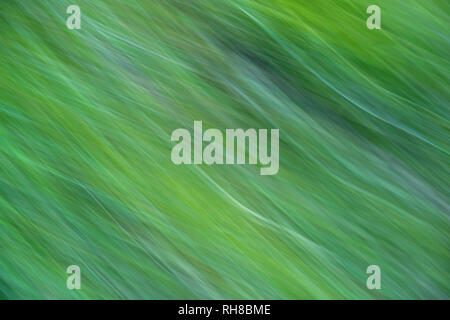 texture green stripes blurs picturesque Stock Photo