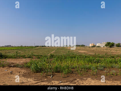 Farm in the Tihama, Jizan Province, Abu Arish, Saudi Arabia Stock Photo